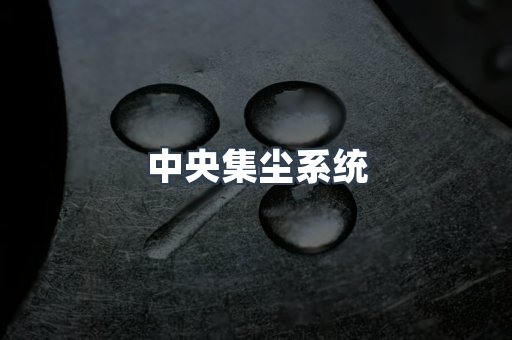 中央集尘系统